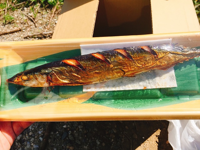 秋の秋刀魚デイキャンプ (7)
